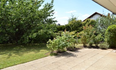 Garten - Terrasse